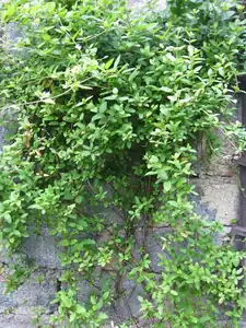 sud — 15. května 2014