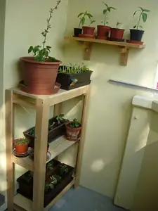 Balkónová zahrada