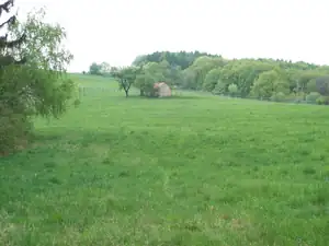 Buchlovské lůky...
