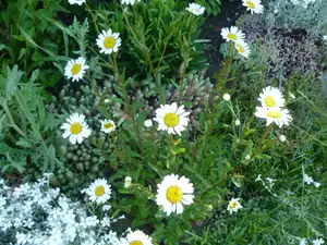 kyti5 — 26. května 2014