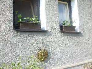 Tak konečně začínám sázet