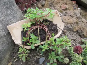 olgas — 28. května 2014