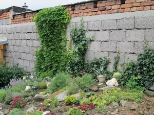 olgas — 28. května 2014