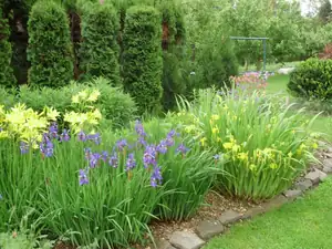 muškatek — 1. června 2014