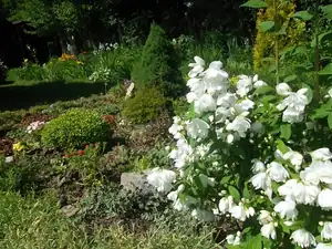 ludmila60 — 5. června 2014