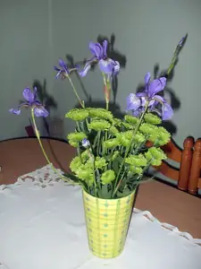 iris66 — 6. června 2014
