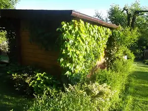 Velké horko-čas koupání...