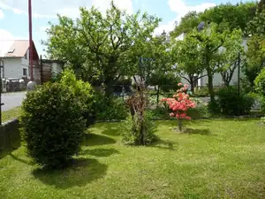 kosnikovna — 9. června 2014