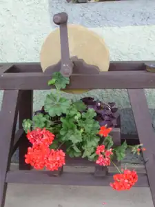 muškatek — 11. června 2014