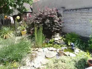 a je z toho pomalu prales