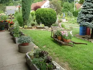 muškatek — 25. června 2014