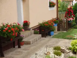 Už kvetou