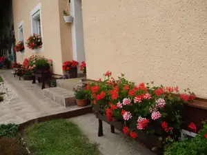 muškatek — 25. června 2014