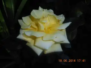 Maariee — 28. června 2014