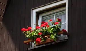 okno do ložnice...