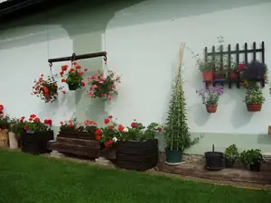 Zeď stodoly
