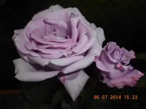 Maariee — 11. července 2014