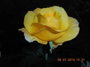 Maariee — 11. července 2014