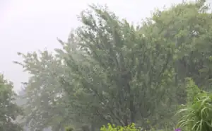 jako když se vylívá voda z kbelíku...lilo 4 hodiny v kuse...