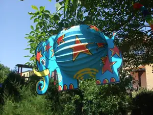 iris66 — 15. července 2014