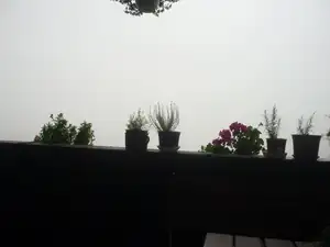 úterý ráno mlha jako hrom