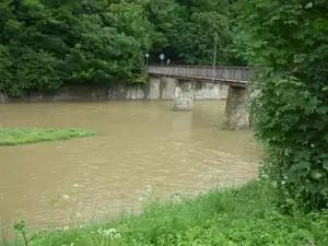 kyti5 — 26. července 2014
