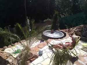 jak na Hawai