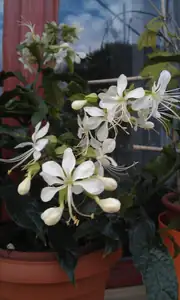 petrpolak — 31. července 2014