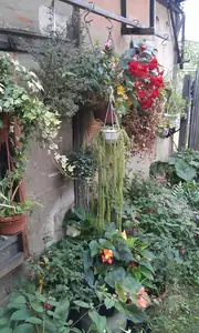 petrpolak — 31. července 2014