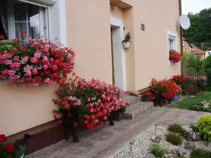 muškatek — 31. července 2014