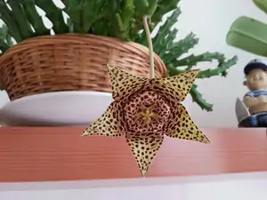 Dneska vykvetla:))