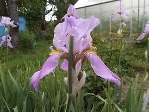 zhbobo — 16. srpna 2014