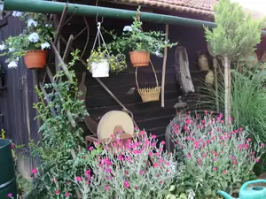 muškatek — 11. května 2011