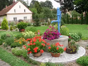 muškatek — 11. května 2011