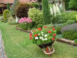 muškatek — 11. května 2011