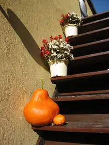Tady už vykukuje podzim