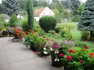 muškatek — 11. května 2011