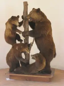 sud — 29. září 2014