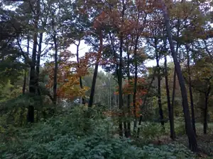 sud — 14. října 2014