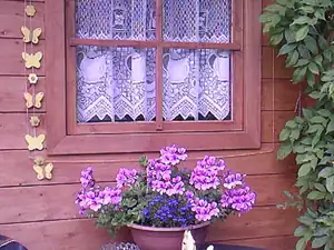 60 — 13. května 2011