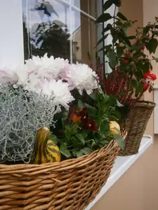 Podzimní parapety