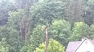 Přinesl nám naší černovlasou Adélku :)