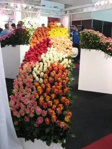 Tereza5555 — 9. listopadu 2014