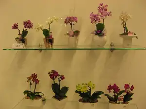 Tereza5555 — 9. listopadu 2014