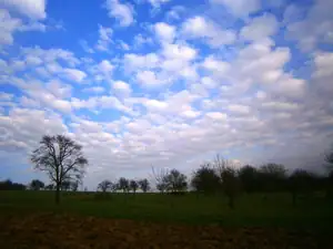 Magdalenka73 — 14. listopadu 2014