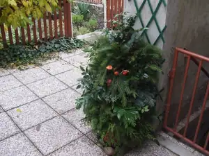 stromek složený z chvojí