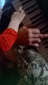 Hodiny klavíru (ha ha ha) na harmonice :)