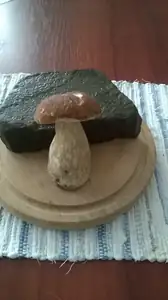 Byl jediný, tak jsem aspoň přibrala kámen do skalky :)