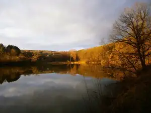 21.12.2014 ... počasí zimu nepřipomíná