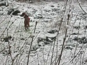 21.1.2015-tak je rozrochňaná louka